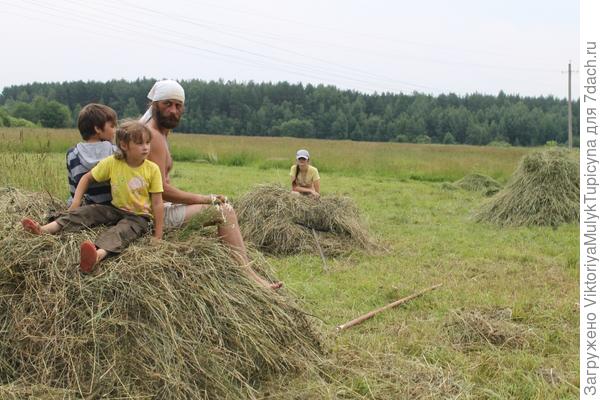Все на сено!