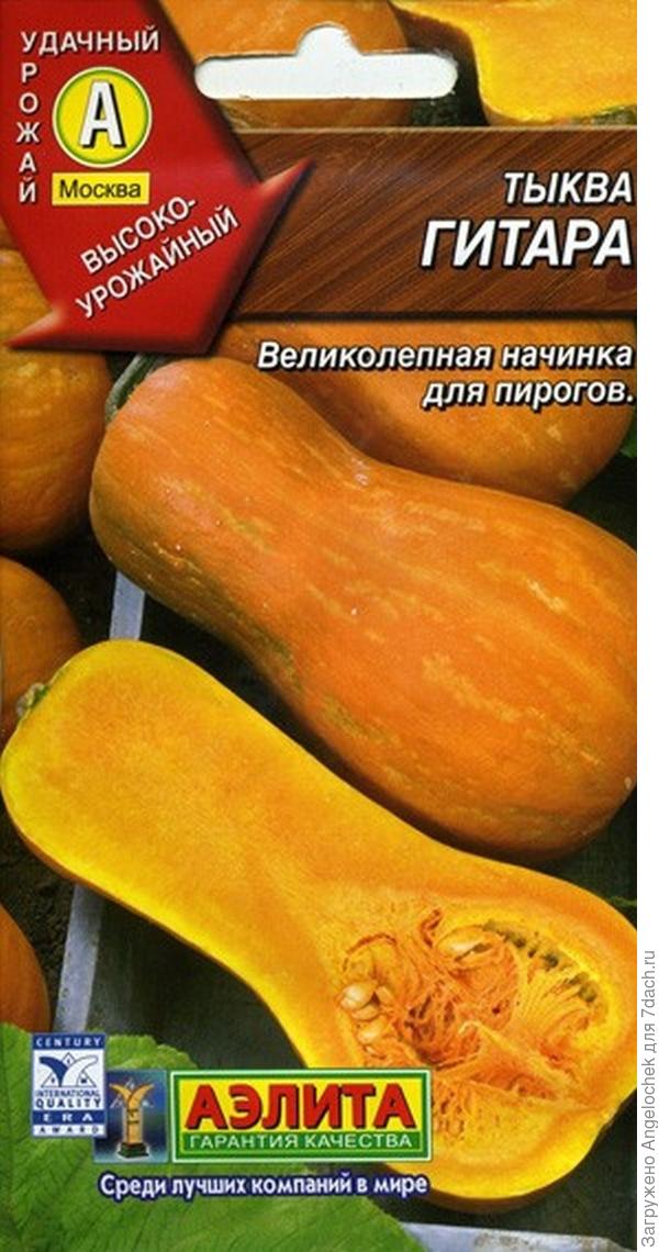 семена тыквы гитара