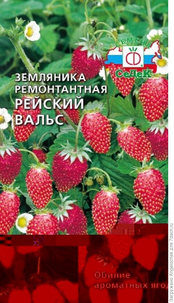 земляничка