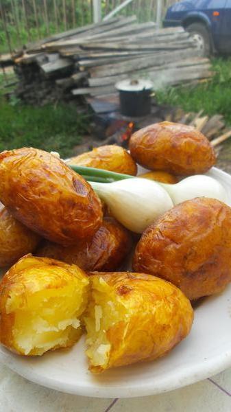 Картошечка