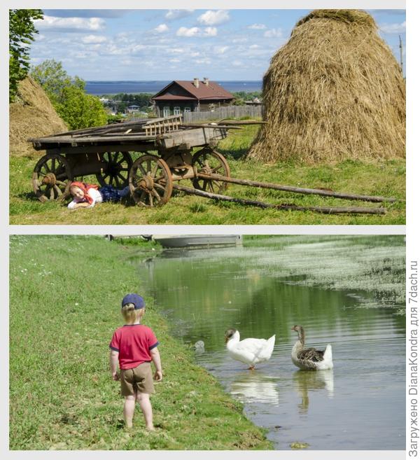 дачники