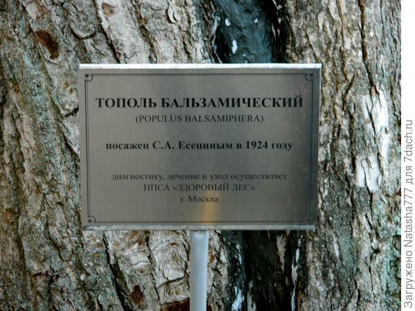 Есенин
