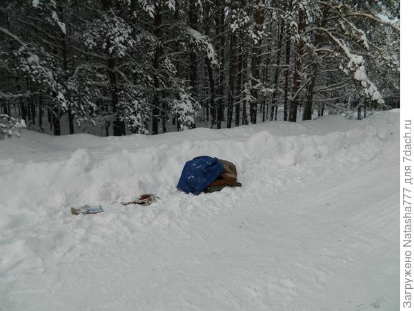 жж