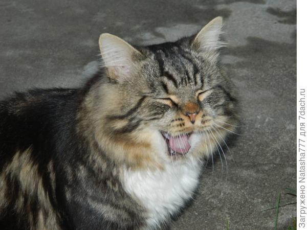 оо