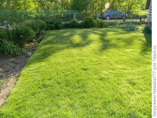 газон