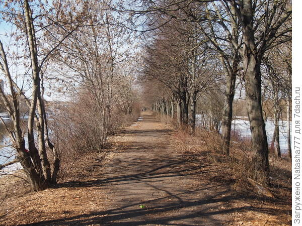 дорога