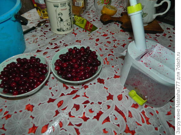 косточкоудалитель