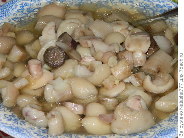 маринованные