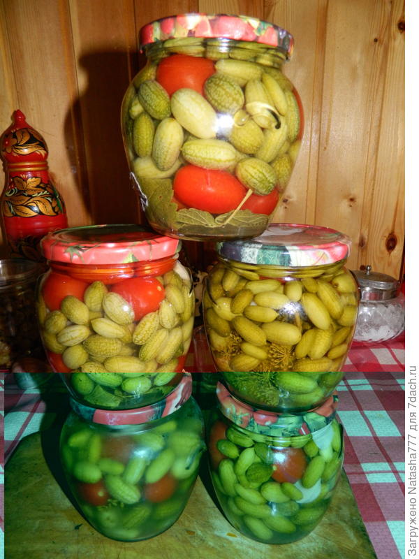 консервированная мелотрия