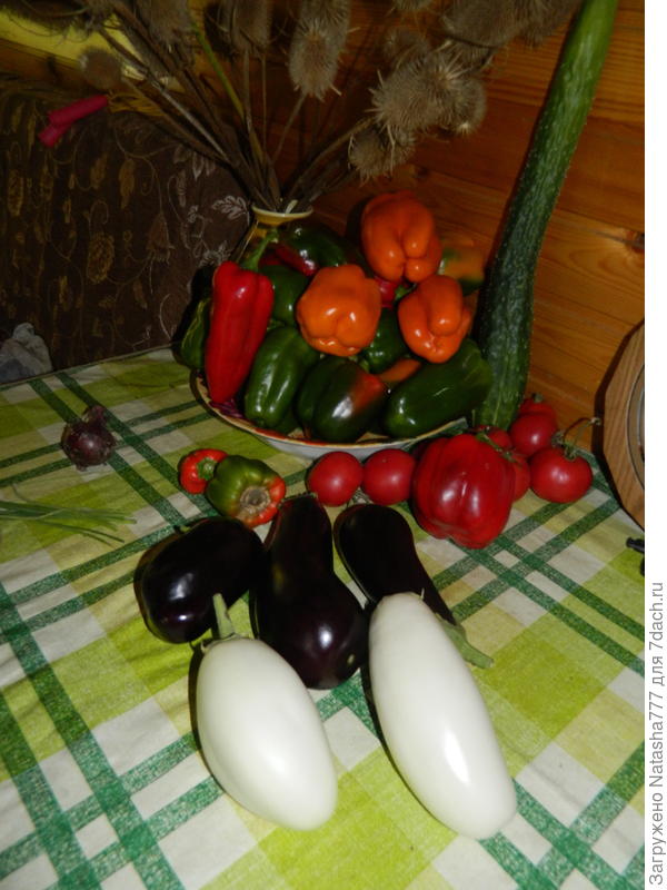 перцы