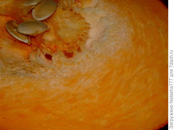 тыква в разрезе