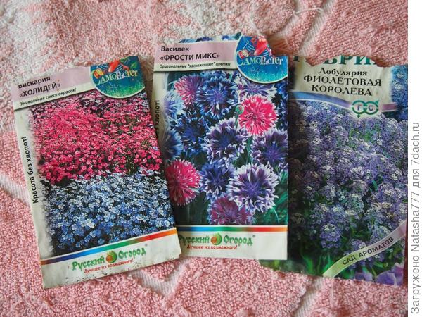 Вискария "Холидей"