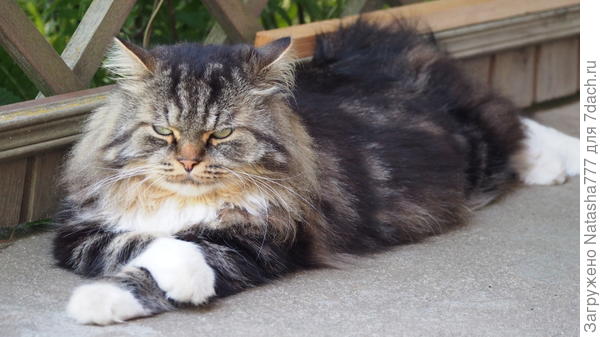 жду угощенья