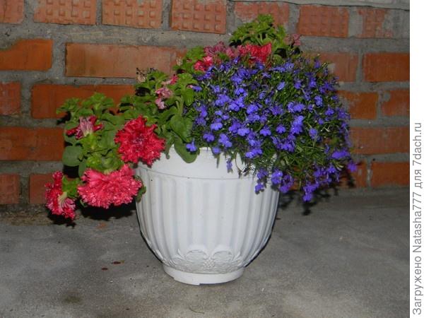 В конце апреля.