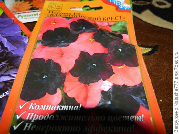 петуния
