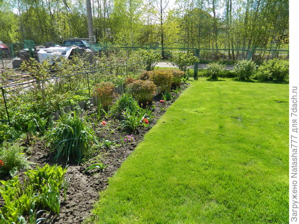 Газон 11 мая 2017 г