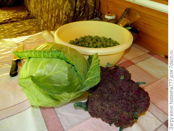 ранняя и цветная