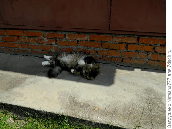 Кузьма