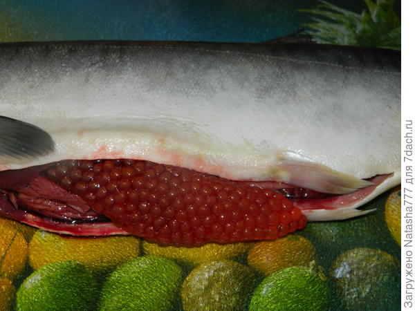 рыбка с икрой