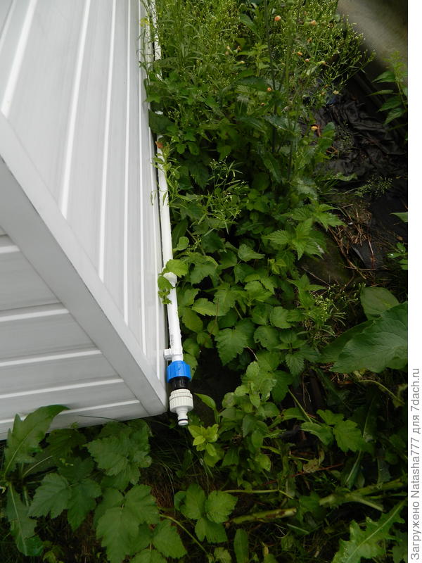 Сюда подводится шланг с водой