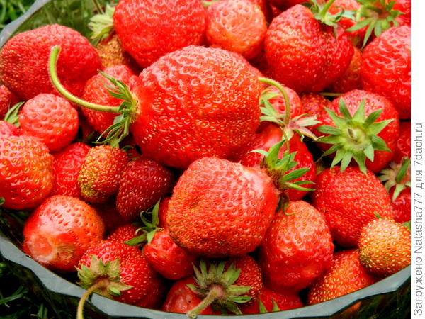 вкуснаяяяя