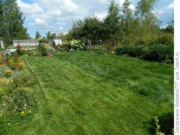 косим газонокосилкой