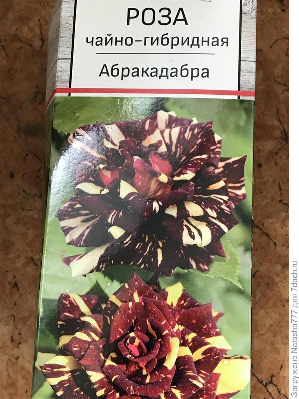абракадабра