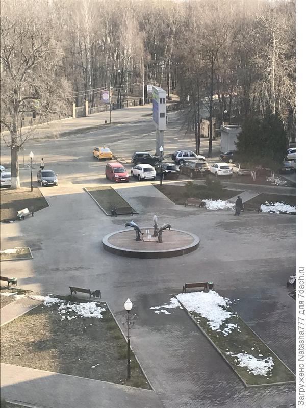 вид из окна