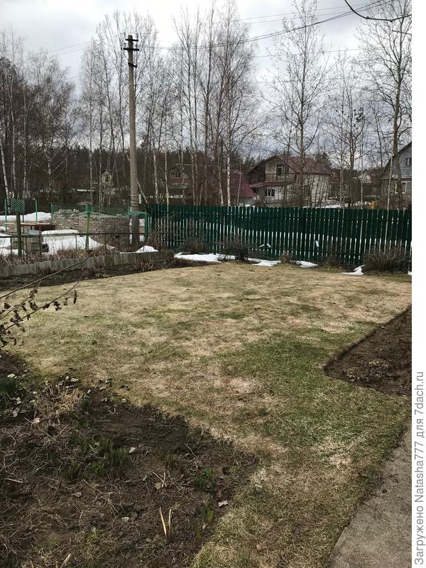 газончик