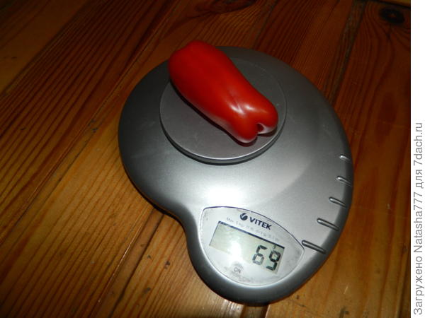 вес 69 грамм