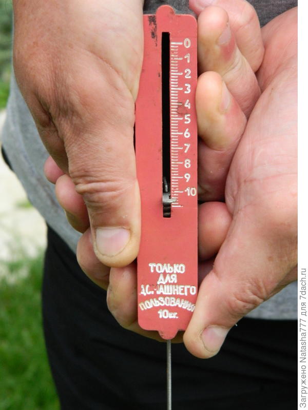 хороший вес