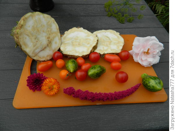 Замечательный овощ