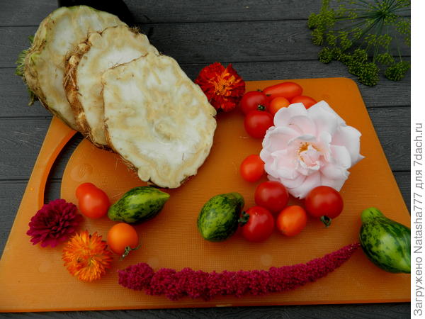 Ароматнейший приятель,
Нами выдержал искус,
Хоть варёный, хоть в салате,
Улучшает пищи вкус