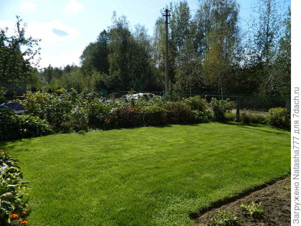 в начале лета