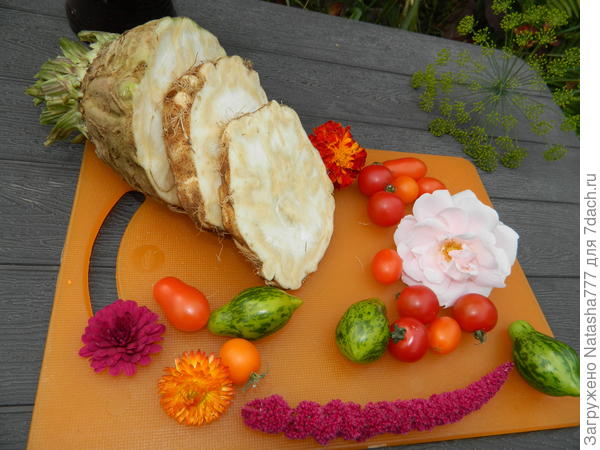 "Майкл Поллан"