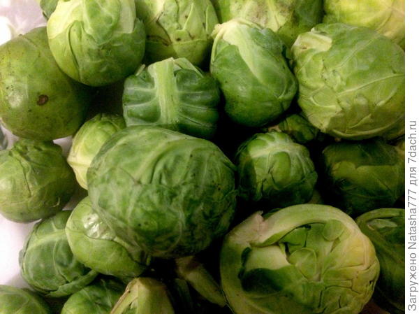 &quot;Сапфир&quot;