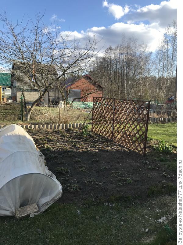 почистила клубничку