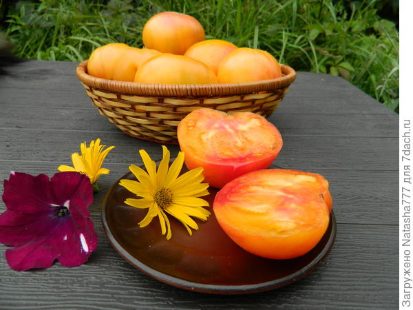 Медовый салют