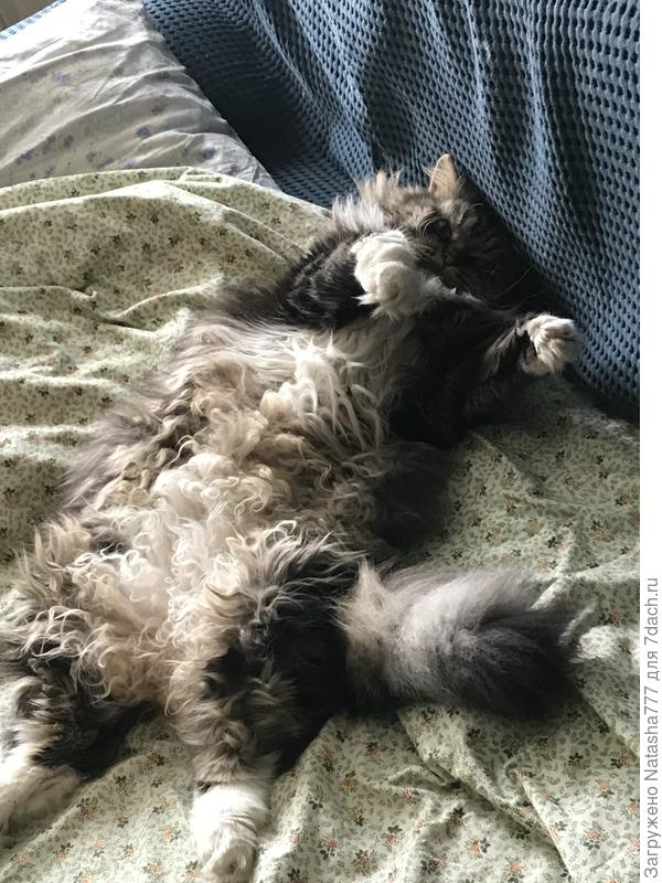 Кузьма