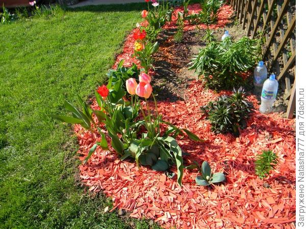 Позже отказалась от щепы