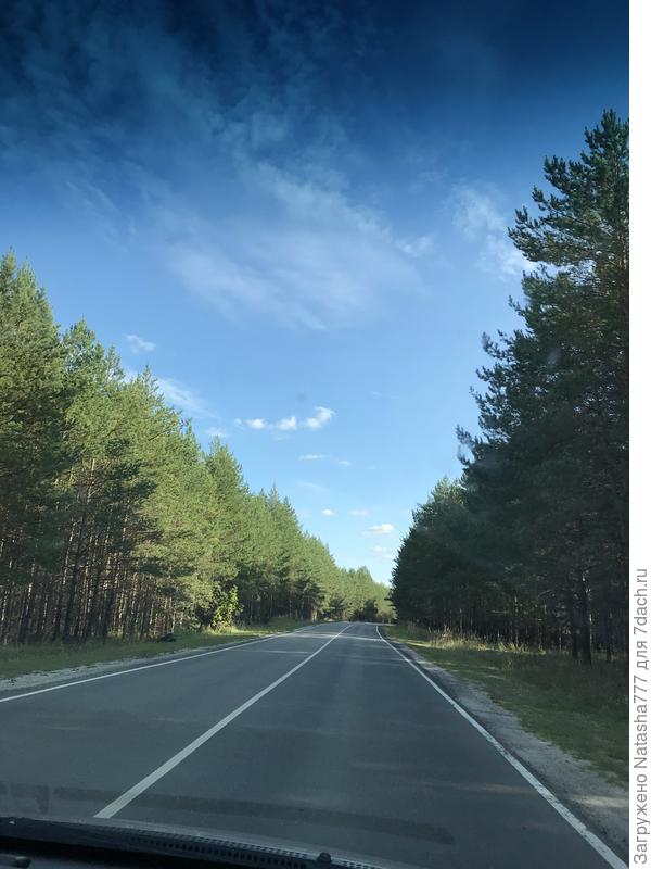 Дорога на дачу