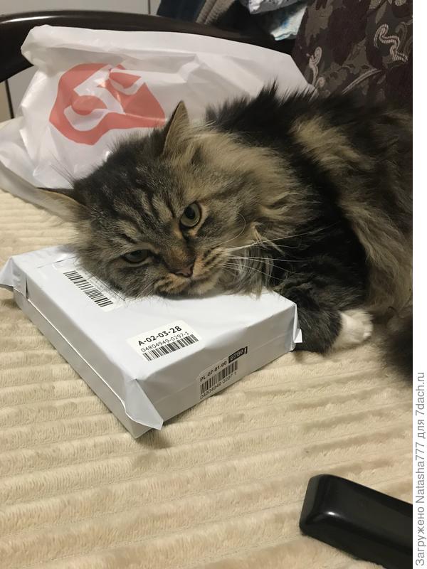 Посылка от сына