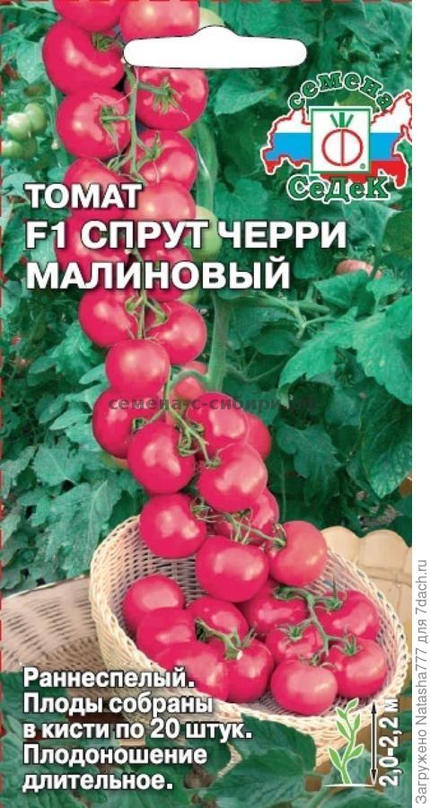 Спрут черри малиновый