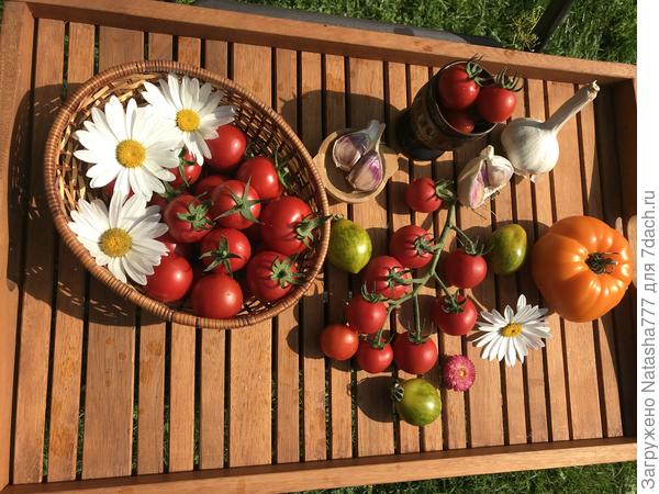 Черри малиновый