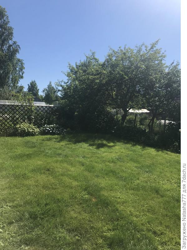 Ни облачка...жара