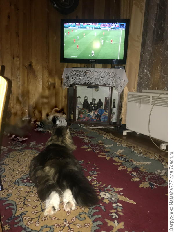 Смотрим футбол