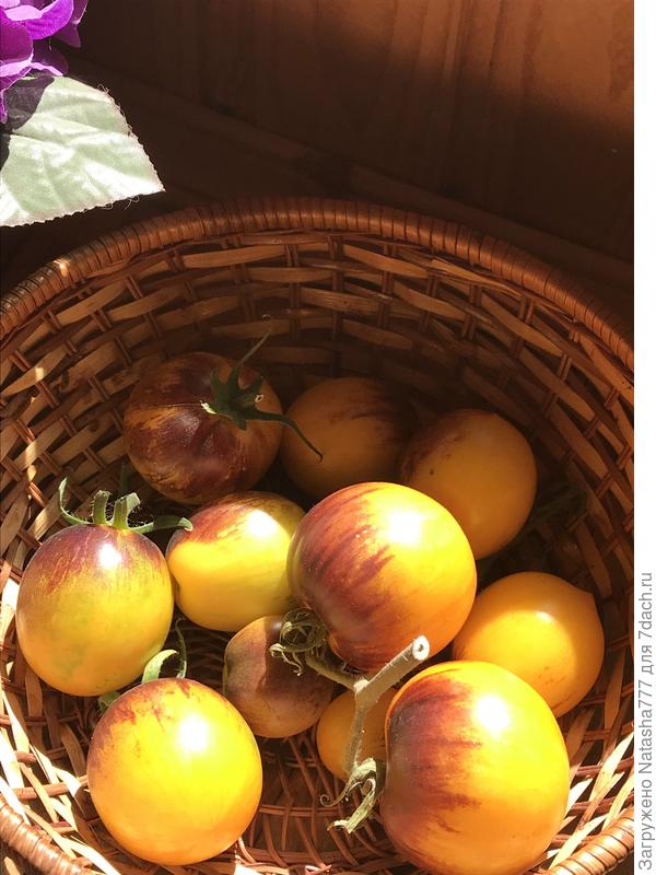 Голубая лагуна