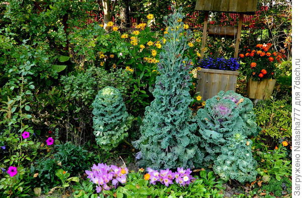 Эта в середине пошла в цвет, но при этом неплохо смотрится