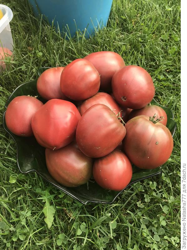 Черное сердце Америки