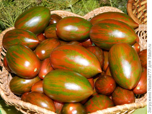 Красный камуфляж